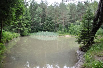 Jazierko slobodné