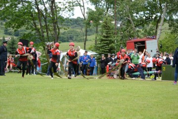 Okresné kolo Pitelová