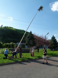 Stavanie mája 2012